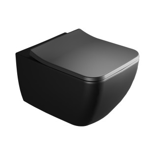 مرحاض معلق ريلميس بالدش فيلروي اند بوخ فانتيشللو أسود مطفى