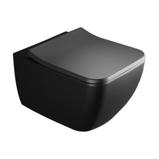 مرحاض معلق بالدش فيلروي اند بوخ فانتيشللو أسود مطفي