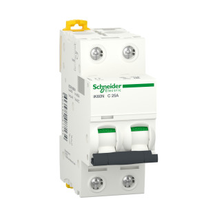 Schneider Electric Circuit Breaker 2 Pole  25 amp 