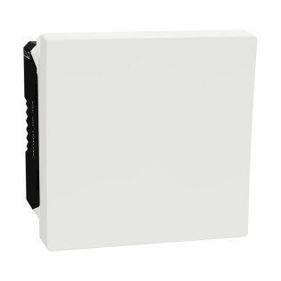 مفتاح فصل شنايدر إليكتريك ميلوز إي 32 أمبير أبيض