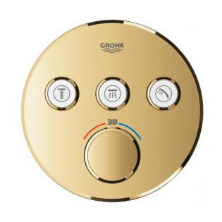 وش خلاط دفن جروهي جروثيوم سمارت كنترول ذهبي لامع