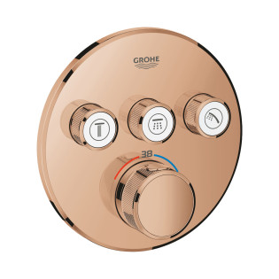 وش خلاط دفن جروهي جروثيرم سمارت كنترول روز جولد لامع