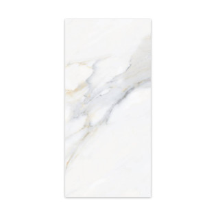 Beroia Porcelain 60×120 Cm White×Grey