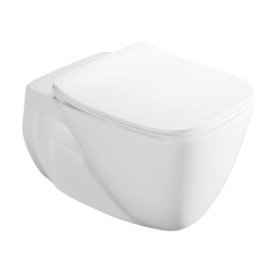 مرحاض معلق بالدش فيلروي اند بوخ ارشيتكتورا أبيض