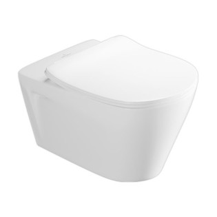 مرحاض معلق ريلميس بالدش فيلروي اند بوخ صب واي أبيض