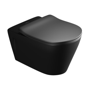 مرحاض معلق بالدش فيلروي اند بوخ  صب واي أسود مطفى